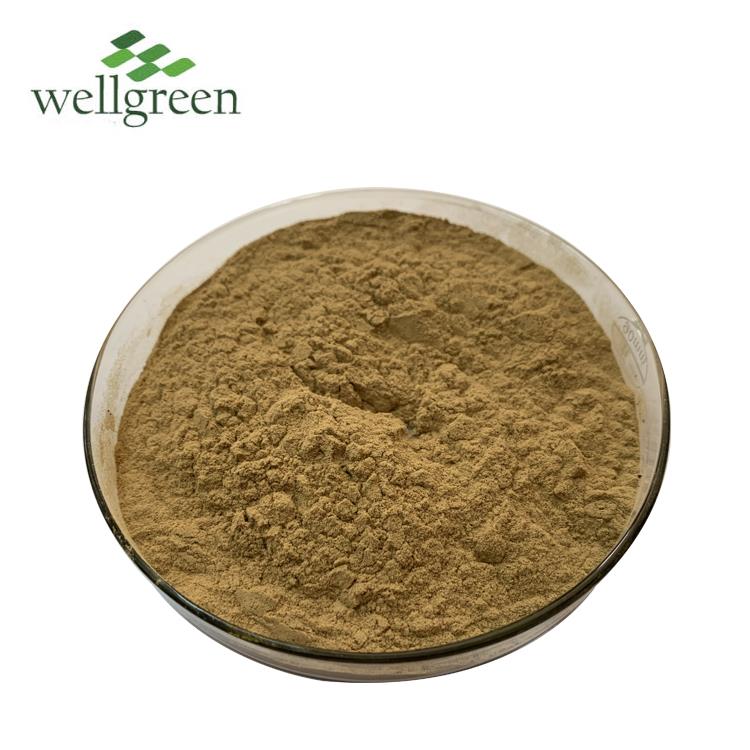 yucca extract powder