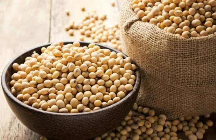 product-1-1 Soybean Lecithin,www.wellgreenxa.com
