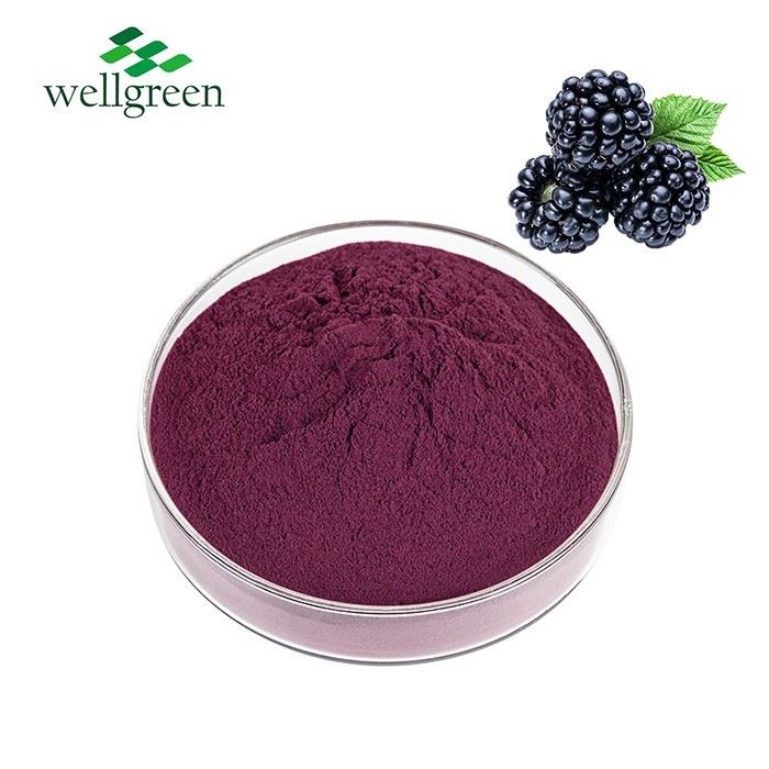 Blackberry Extract Powder