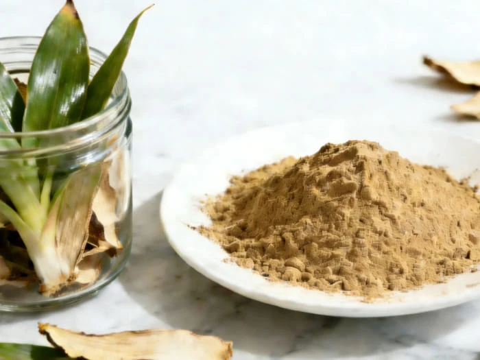 Yucca Extract Powder Yucca Extract Powder
